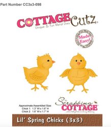 Lil`Spring chicks