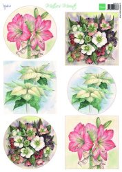 Dekorbilder Mattie´s beautiful Christmas flowers