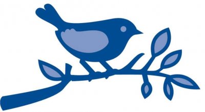 Bird with narrow branch