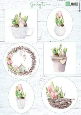 Dekorbilder Tulips & willow cats
